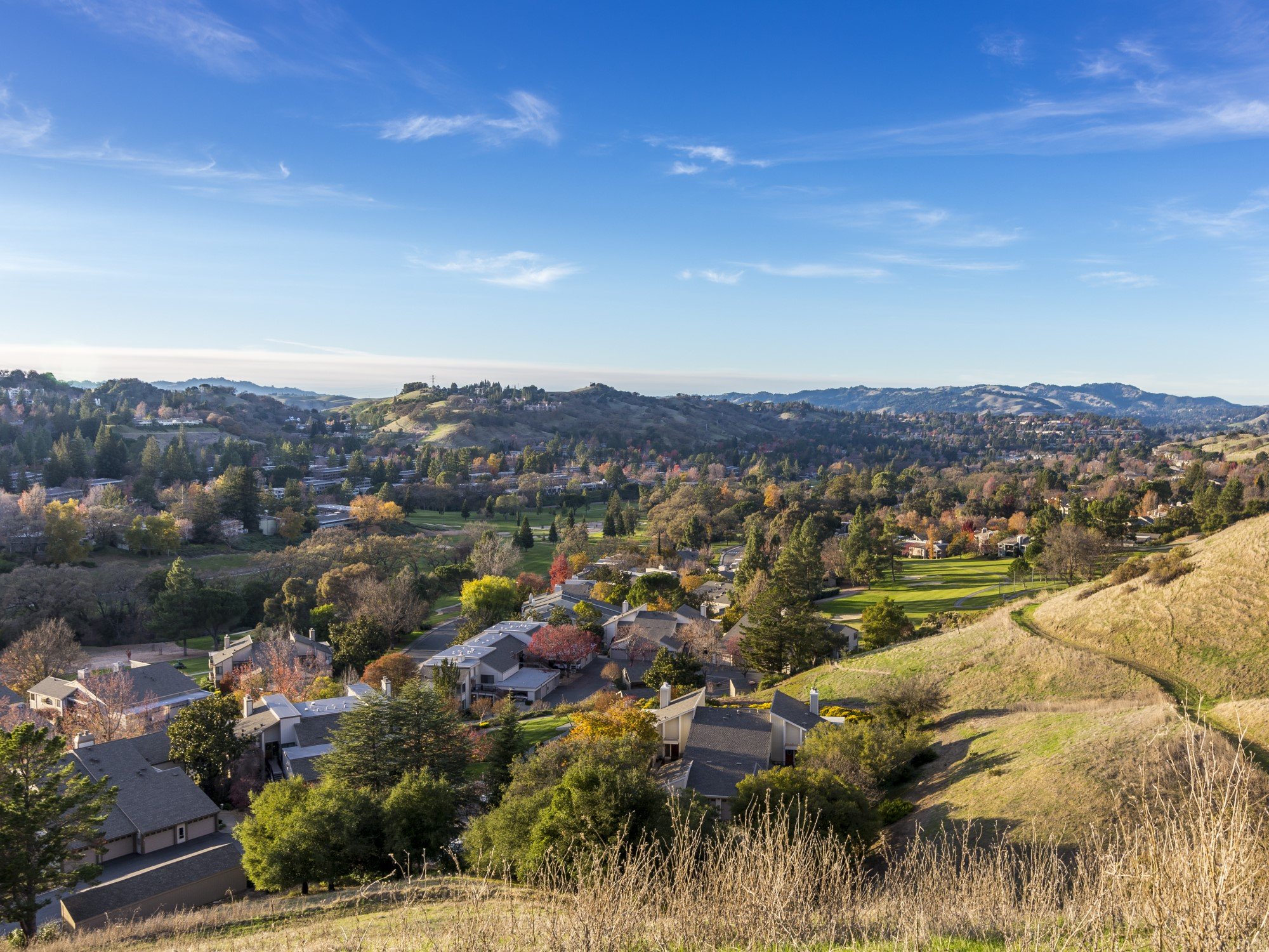 Rossmoor